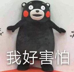 外卖大事情吃瓜,大事件背后的吃瓜真相