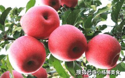 晚上吃苹果还是蜜瓜,苹果还是蜜瓜，营养与口感大对决