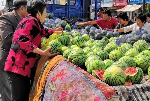 驻足吃瓜,揭秘娱乐圈的幕后故事