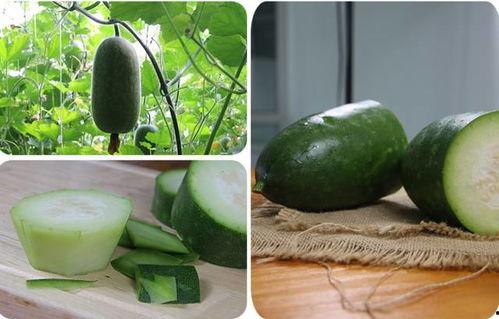 有瓜吃和没瓜,有瓜吃与没瓜生的命运抉择