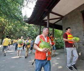 人间流浪吃瓜群众