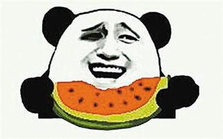 吃瓜的其他表达