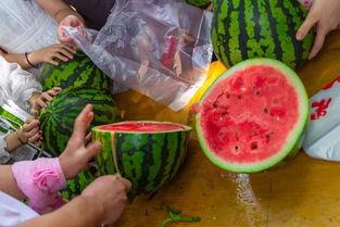 美国视频吃瓜,揭秘娱乐圈幕后真相