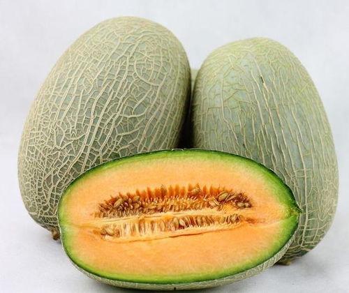 大瓜吃肠,揭秘美食背后的趣味故事