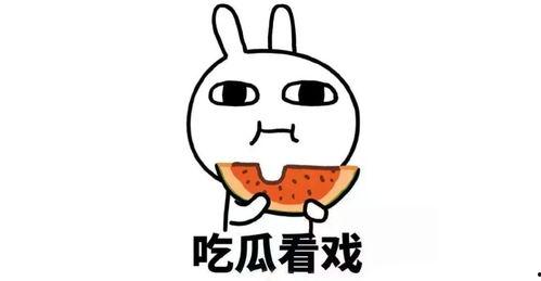 全靠吃瓜维持感情,全靠吃瓜维系的人际关系