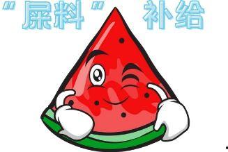 吃瓜来了短剧,短剧里的欢乐与智慧