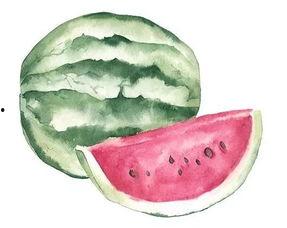 穿越只为吃瓜,只为品尝那一份瓜香