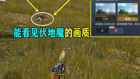 _双琴侠吃瓜归档,揭秘娱乐圈幕后风云