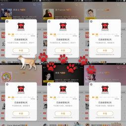 吃瓜打卡社保,揭秘社保福利新体验