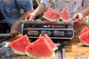 聊城吃瓜群,揭秘网络社交的“瓜田”奇观