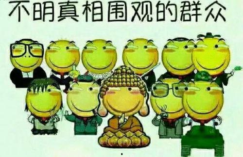 田地里吃瓜的猹