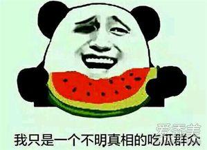 吃瓜不停什么意思,揭秘娱乐圈幕后真相