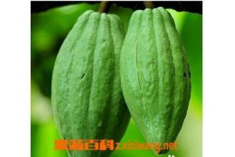 乳瓜怎么吃的